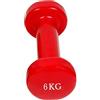 Mediawave Store - Manubrio in Neoprene Esercizi Allenamento per la Casa Palestra Jogging, Corsi di Crossfit, Manubrio Antiscivolo, Scegli Il Peso da 1Kg a 6 kg, Allenamento Fitness (6 kg)