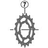 SHIMANO Pignone 19 Denti CS di M8000