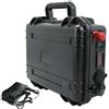 WILLQ Batteria al Litio da 12 V 80 Ah 60 Ah Batteria per propulsore Marino Batteria Ricaricabile per Carrello da Golf/Motore Marino/da traina con Caricabatterie da 5 A e Porta USB,12v60ah