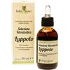 Erbecedario Tintura madre Luppolo gocce per dormire, Favorisce il rilassamento, le funzioni digestive ed il benessere durante il ciclo mestruale e la menopausa, Luppolo Gocce, 1 Flacone 50ml