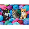 Castorland Puzzle 1000 pièces : Chatons Dans Le magasin de Laine