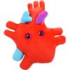 GIANTmicrobes GIANT MICROBES Peluche a forma di organo cardiaco, adorabile e realistico, regalo di biologia educativa, modo perfetto per dire Ti amo!, regalo educativo, medico per guarire presto, perfetto per