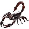 SunaOmni Giocattolo Scorpione Elettrico a Infrarossi Realistico Scorpione Telecomandato Animali Giocattolo Divertente e Spaventoso per Bambini Regalo di Compleanno, Nessuna Batteria Robot Animali Giocatto