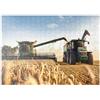 MyPuzzle.com MyPuzzle Mietitrebbia E Trattore Nel Campo Di Grano - Premium 200 Pezzi Puzzle - MyPuzzle Collezione speciale di Puzzle Galaxy