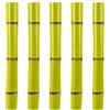 ifundom Modelli Realistici di Canna da Zucchero Artificiale 5 Pezzi Verde | Plastico, per Casa e Negozi, Design senza Manutenzione, Facile da Spostare