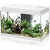 AQPET Acquario in Vetro per Pesci Tropicali Completo di Accessori Filtro Luce Simply, 60 59x30x39 cm 60 Litri, Bianco