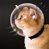 Hoqqf Museruola trasparente per gatti con cappuccio traspirante, casco regolabile per gattini da astronauta, evita che gli animali domestici mordano durante la toelettatura, Hoqqf, maschera per gatti