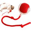 Biniveil Pallina Gatto Automatica | Giocattoli Interattivi Per Gatti | Ball Interattivo Giocattolo | Palla Giocattolo Per Gatti Intelligente | Palla Per Cani E Gatti In Movimento