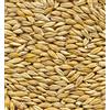 Zambonin Agricoltura Mangimi Semplici a base di Cereali in natura e lavorati per l'Alimentazione degli animali da reddito e da compagnia (Orzo, 5 kg)