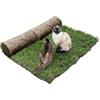 PetZolla Gatto Ricarica XL - Cuccia in vero prato con erba gatta 100X90 cm | Ricambio facile da sostituire per il Kit Petzolla XL, Cuccia per gatti da interno dura fino a 3 mesi - Made in Italy