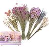 yakermur Criceto Fieno Lettiere Lettiere Piante Lettiera Fiori Biancheria Da Letto Per I Criceti, Naturalmente Essiccato Estate Deodorizzazione E Accessori Paesaggio,Per Animali Piccoli