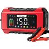 NEXPEAK 15A Caricabatteria da Auto, 12V 15A/24V 8A Caricabatterie Intelligente Completam
