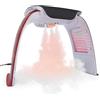 Elitzia 7 Colori Photon PDT luce Ringiovanimento della pelle Spettrometro Desktop Aria Calda Nebbia Fredda Strumento di Bellezza Touch Screen LED Rimozione Rughe Anti-Aging Salone Elitzia ETLB380 (Rosso)
