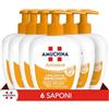 Amuchina Sapone Liquido Antiodore 250 Ml 6 Pezzi