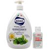 FEI FAN Sapone Liquido Viso, Mani e Corpo, IGIENIZZANTE. Con Dispenser, Con Antibatterico Naturale, Estratto di Camellia Sinensis 1000ml + Gel Mani IGIENIZZANTE, Con Aloe Vera 80ml