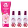 Giardino Dei Sensi Rosa Del Deserto Affascinante - Profumo Donna Spray 100 ml + Doccia Schiuma 100 ml In Omaggio - Fragranza delicata, set completo per un rituale di bellezza (Rosa Del Deserto 3)