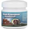 GNAUMORE Crema Riparatrice per Unghie,Funghi Alle Unghie,Crema Riparatrice per le Unghie dei Piedi,Trattamento per Unghie Crema Riparatore,Effect Funghi Unghie Piedi Efficace,Efficace 1PC