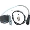 RLFNPHMHX Bobina modulo accensione for S/t/i/h//l 030,030AV,031,031AV,113 400 1300, 1301