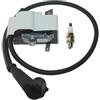 RLFNPHMHX Bobina di accensione for H//I/L/T/I DSH700 DSH900 412236
