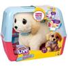 Rocco Giocattoli Little Live Pets Ouchies Labrador Interattivo di Rocco Giocattoli