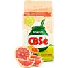 Yerbee CBSé Yerba Mate Tè Pomelo 0.5 kg | Yerba Mate Argentino | Bevanda disintossicante ed energetica