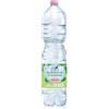 Generico San Benedetto Acqua Naturale, Bottiglia PET, 1.5 Litri, Confezione da 12 Bottiglie