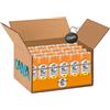 CAIYA 24X San Benedetto The al gusto di Pesca con Infuso di Thè Lattina 330ml [CAIYA® BOX da 24 Lattine] - Drink Summer 2023
