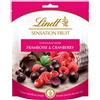 Lindt Lampone E Mirtillo Frutta Sensation 150 Glot 4
