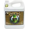 Advanced Nutrients Big Bud Coco - Nutriente per Piante, 500 ml