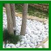 Seat Flor srl® CIOTTOLI DI MARMO BIANCO CARRARA IN (SACCO 25 kg) diametro 40-60, pietra bianca per giardino