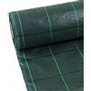 N.G. NICCOLAI - Telo PACCIAMATURA in Rotoli - Polipropilene - PERMEABILE - Varie Misure - Verde O Nero QUADRETTATO Verde - Anti Erbacce - ANTIALGA - Ecologico - CALPESTABILE (3,30X20 Metri, Verde)