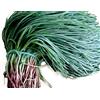 larosa SEMI DI AGRETTO agretti o Roscano o BARBA DEL FRATE circa 30 semi gr 10 (salsola soda)