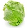 SemiSauvage 150 Semi di Lattuga Iceberg - SemiSelvaggio Permacultura