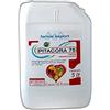 Generico PITACORA 75 x 5 lt - Concime Organico Azotato con Boro (B), Ferro(Fe), Manganese (Mn), Zinco (Zn)