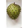 Generico Annona Muricata Graviola Semi 7 Semi Produzione 2025 Pianta Tropicale da Frutto