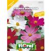 Fioral Sementi da fiore di qualità in bustina per uso amatoriale (COSMEA SENSATION IN MISCUGLIO)