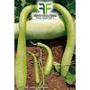 MONDONATURA SRL Semi Zucca lunga di sicilia 2 Buste Linea Maxi,Mondonatura Srl