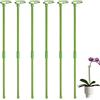 Rurunklee Tutor Plant_e in fibra di vetro, 6 pezzi, 60 cm, supporti per piante rampicanti e fiori | tutor di pomodori da giardino | pali per orchidee, amaryllis, peonie, peperoni