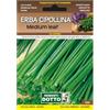 Sicignano Casalinghi Ingrosso Casalinghi Sicignano | Semi Erba Cipollina Medium Leaf, Pianta Aromatica Perenne, Busta Extra - 2 Confezioni da 0.6g, Ideale per Ricette Fresche, Aromatizzare Insalata Salsa Vivande, Pianta da Vaso