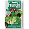 Generico Sementi di Radicchio in misticanza (8 varietà) confezionate in doppia busta