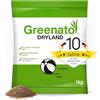 Greenato 1 kg Semi di prato Greenato Dryland, prato resistente alla siccità, semi di erba, erba, semi di erba