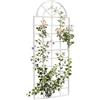 CLP Graticcio Per Piante Rampicanti Viva In Ferro I Graticolato Per Piante 180x70CM I Traliccio Per Rampicanti, Colore:bianco