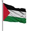 Generico Bandiera della Palestina, 60 * 90cm/90 * 150cm, bandiera nazionale palestinese poliestere di alta qualità, per interni/esterni (60 * 90 cm/23.6 * 35.4pollici)