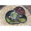 Giardini d'Acqua Laghetto da Giardino Nero Modello Fusine Lt 150 Stagno Preformato Piante Pesci
