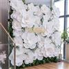 Humyoun Fiori giganti di carta artificiali, decorazioni floreali per matrimoni, lauree, addio al nubilato, compleanni, fatti a mano, da parete, centrotavola, accessori per feste (bianco, 12 pezzi)