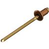 Gesipa - Rivetto cieco - Mini Pack 50 pezzi/confezione, 4 x 6 mm, rame/bronzo