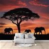 Generic Africa Elefante Tramonto Carta da Parati Rosso Carta da Parati TNT Fotomurali Moderna Carta Parati Fotomurale 3D Effetto per Soggiorno, Camera Letto, Sala Pranzo, TV Sfondo 250x175 cm