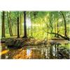 WallArena Carta Da Parati Fotografica Verde Foresta Bosco Alberi - Include Colla - Moderna Design Carta per Pareti Soggiorno Camera Da Letto Sala Fotomurali In Tessuto Non Tessuto TNT (208x146 cm - 2 Strisce)