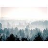 murando - Carta da parati Bosco Foresta 350x256 cm Fotomurali in TNT Murale alla moda Decorazione da Muro XXL Poster Gigante Design Soggiorno Cameretta Carta per Pareti Nuvole Natura c-B-0347-a-a