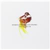 VIDOL Final Fantasy Viii-Orchestra Version